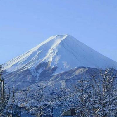 屠龙杀2手游下载